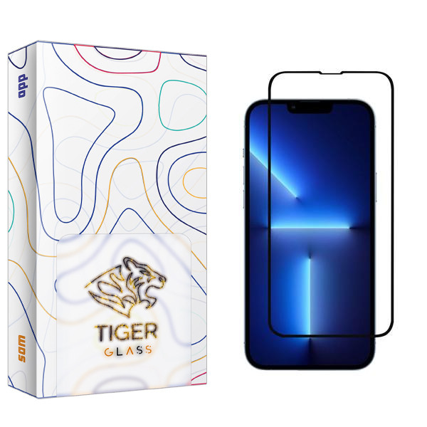محافظ صفحه نمایش تایگر گلس مدل SAM2 مناسب برای گوشی موبایل اپل iPhone 13 Pro